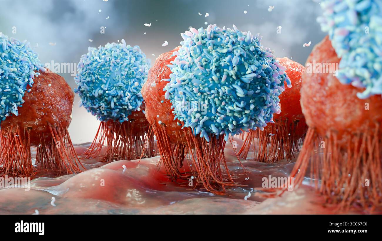 T cell hi-res stock photography and images - Alamy