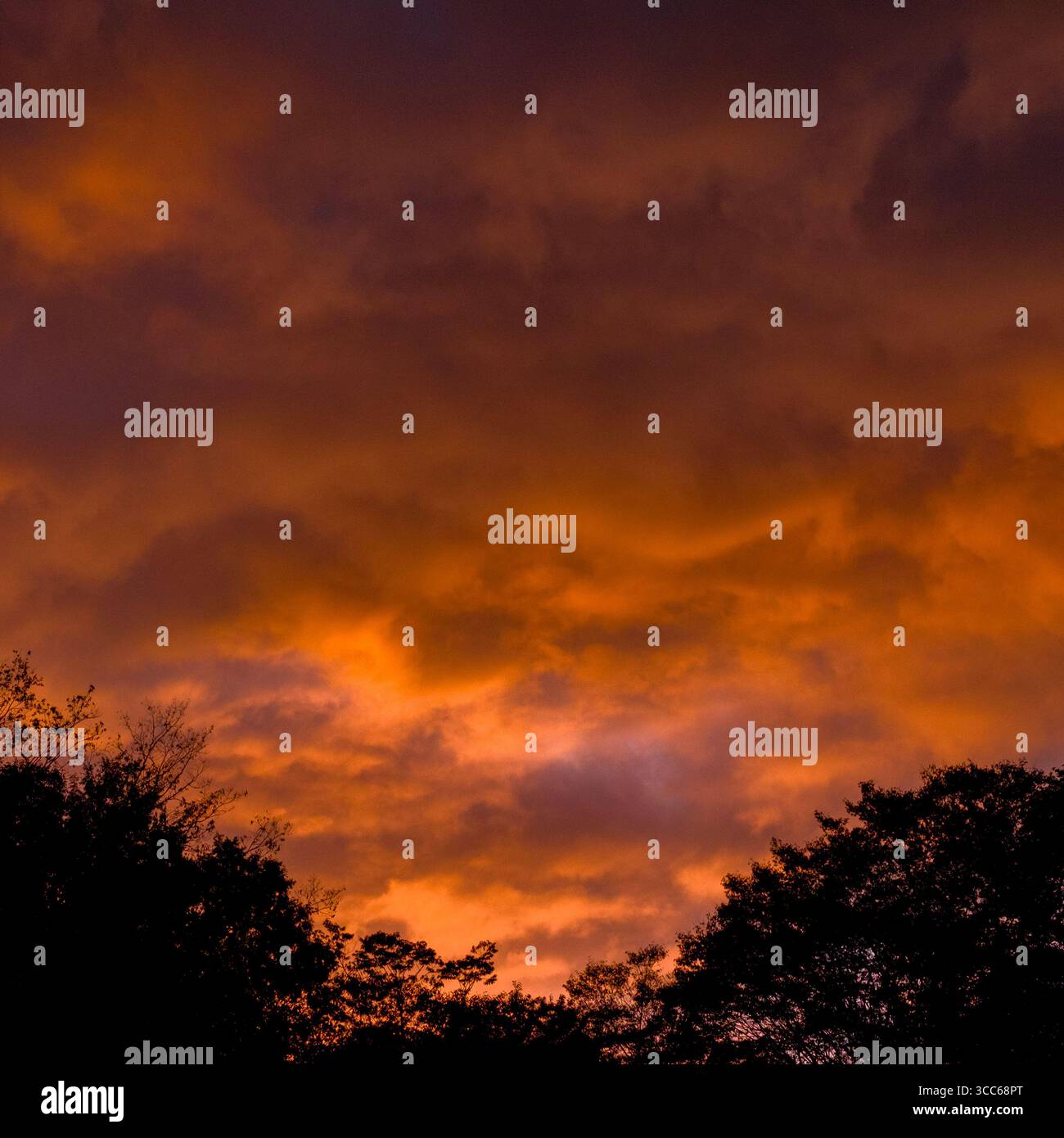 A vibrant sunset sky filled with dramatic orange and purple hues ...