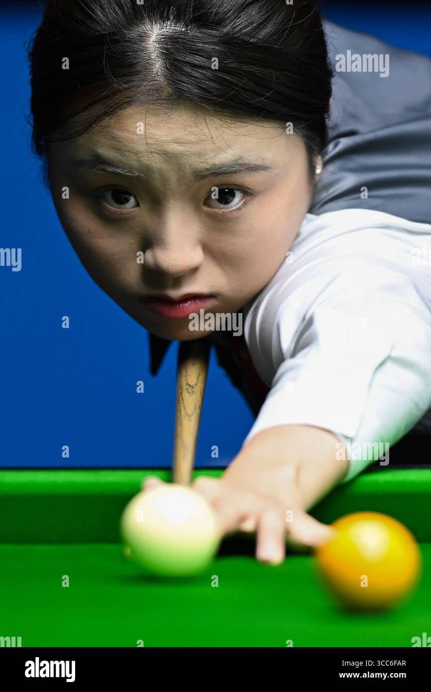 Bai yulu (60) 사진