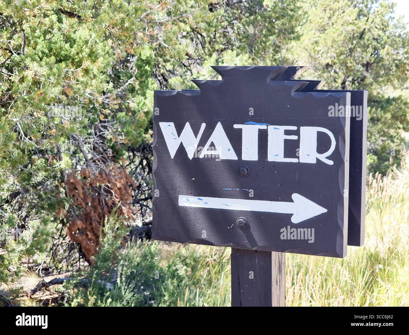 Direction sign with text "WATER" and arrow; bush and grass in the background - Smartphone Captured Stock Image
