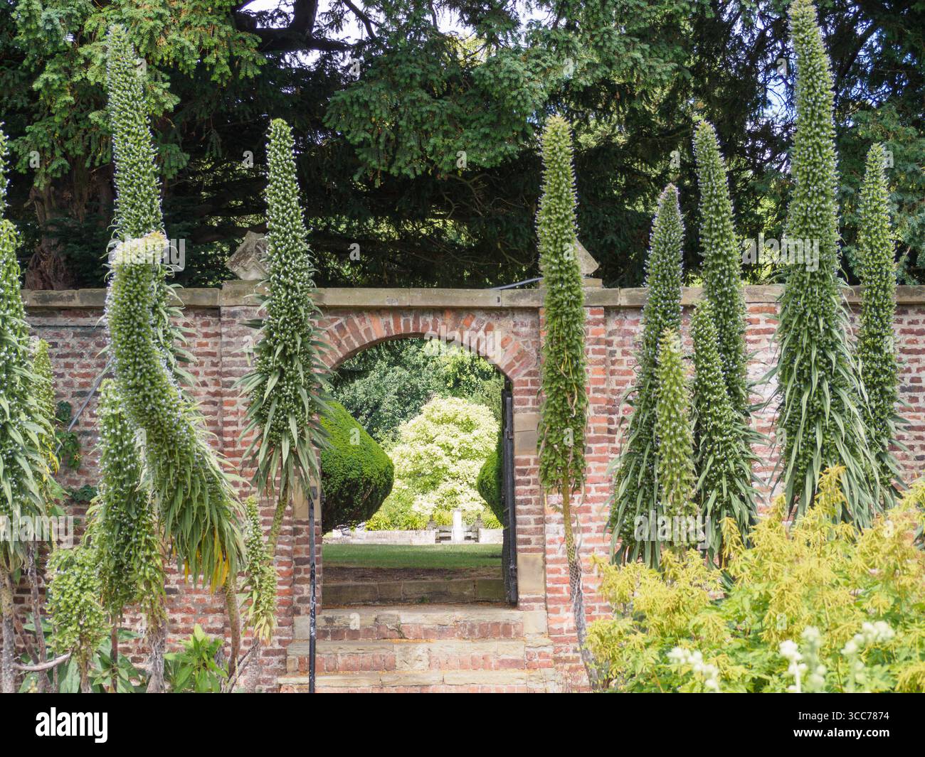Burton Agnes Hall, Walled Garden Stock Photo