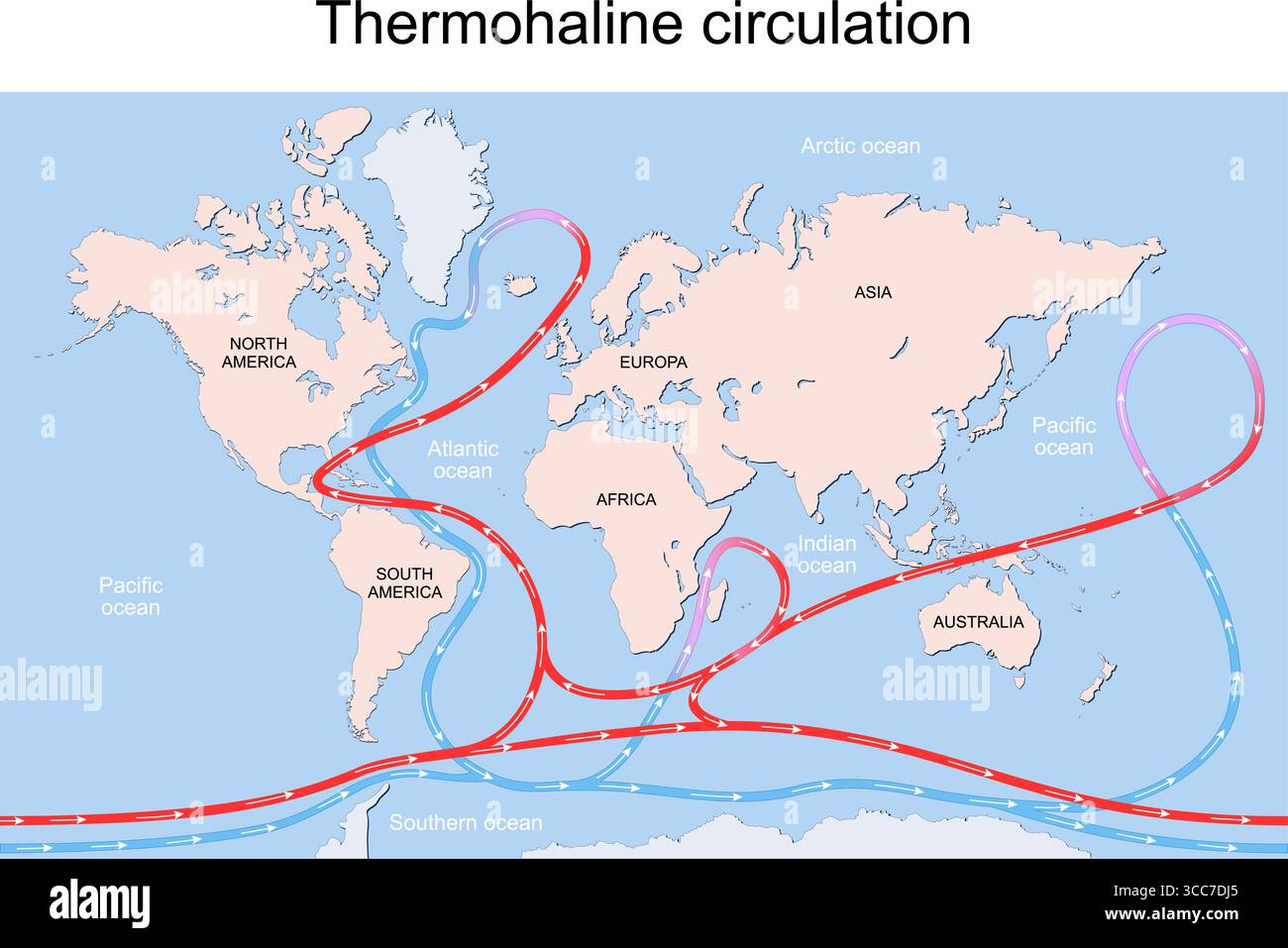 Gulf Stream, Ocean currents and thermohaline circulation. Blue paths represent deep water currents, red paths - surface currents. Detailed Vector post Stock Vector