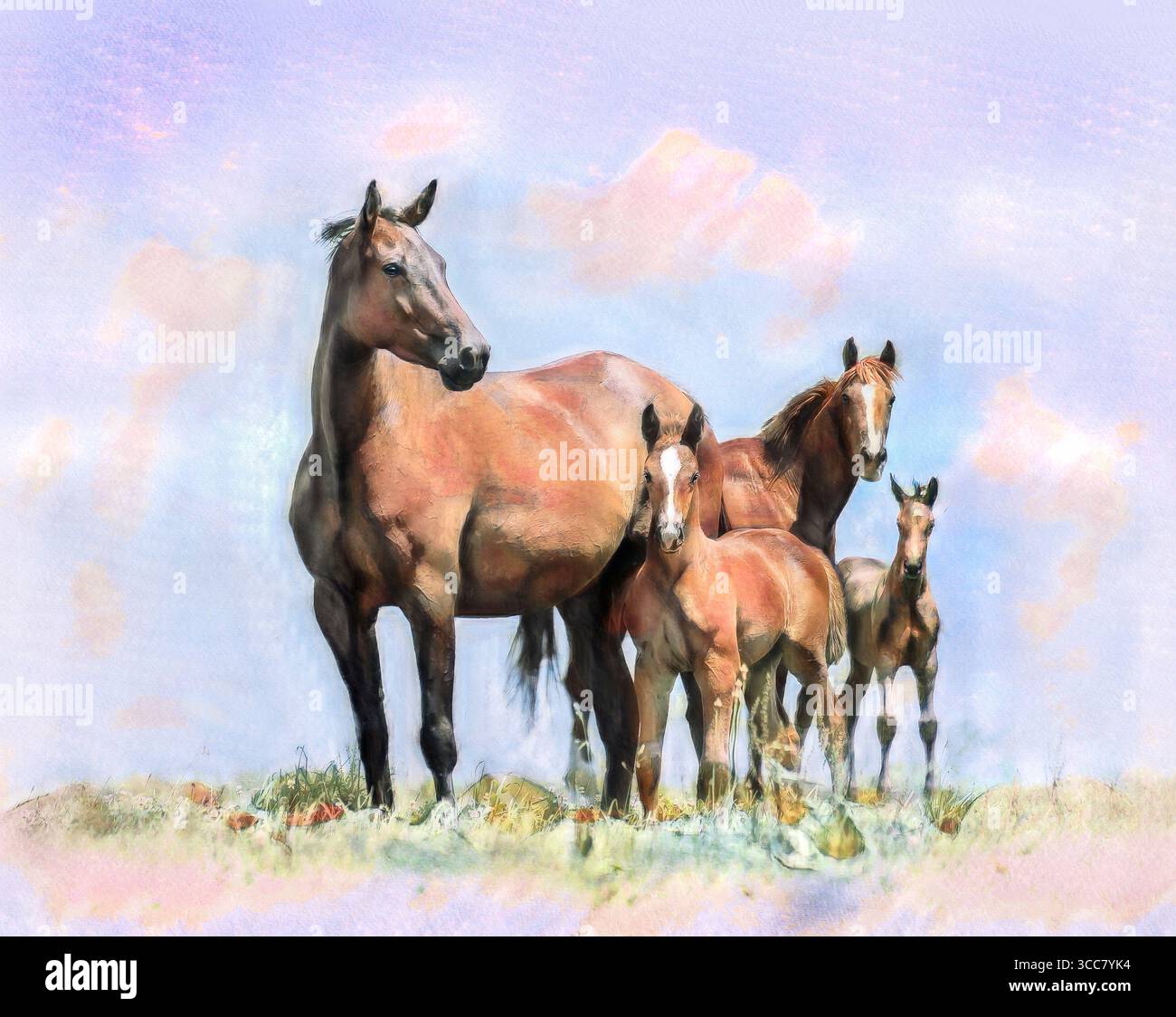 Group of adult Hanoverian horse mares and foals stand alert on a rise ...