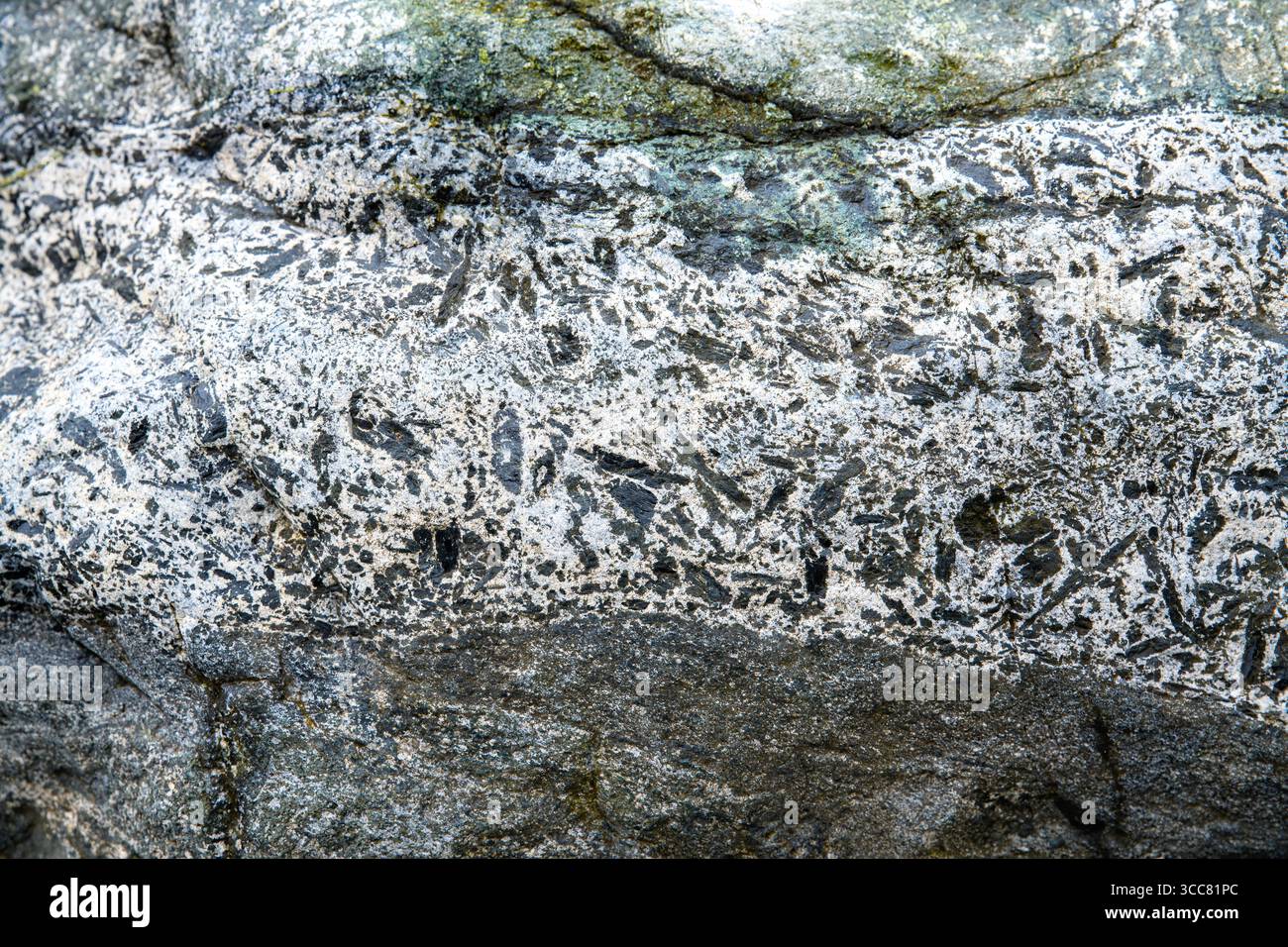 A white rock vein with many small black angular fragments. The vein is ...