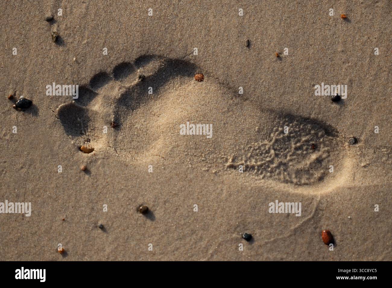 Footprint in sand with small pebbles Stock Photo