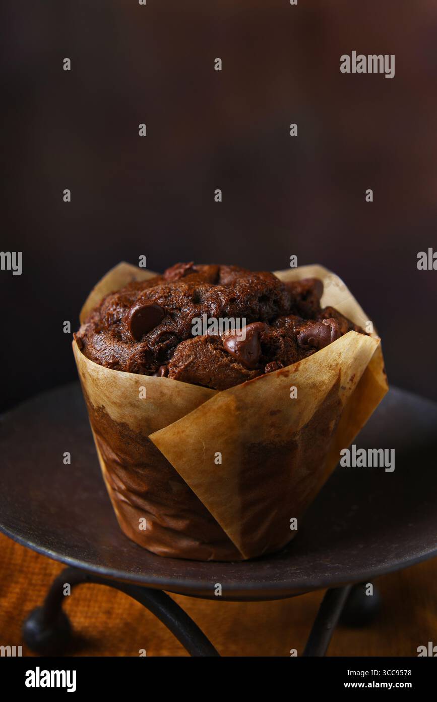 Chocolate Chocolate Chip Muffin Still Life Stock Photo