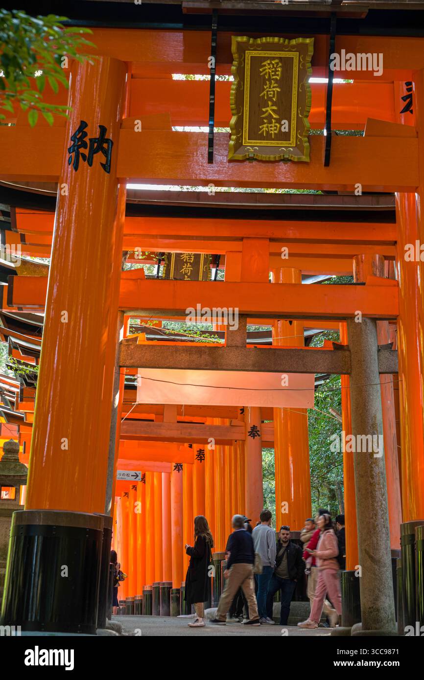 People walking through many vermilion Torii gates on the grounds of ...