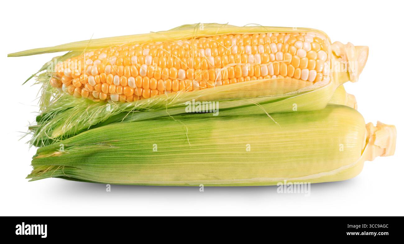 corn cobs isolated on white background. Stock Photo