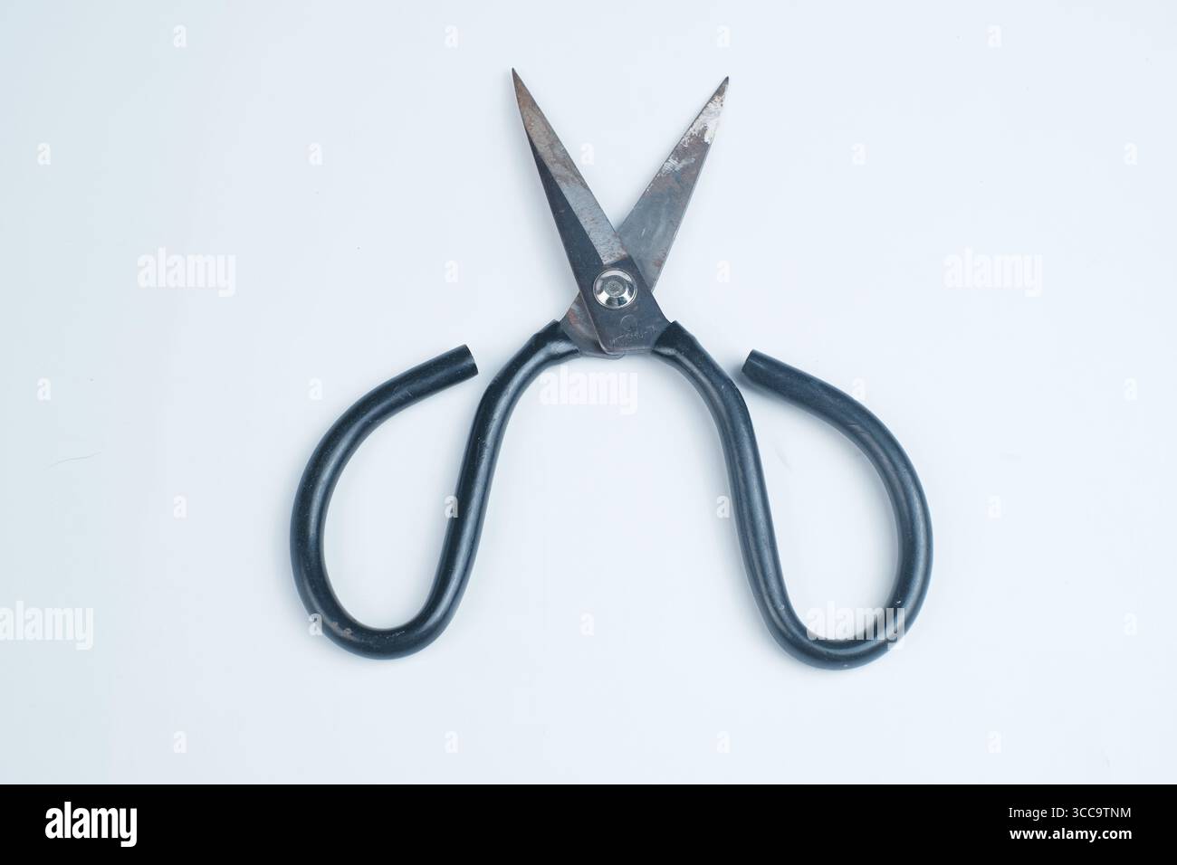 Fabric scissors isolated on white background. Stock Photo