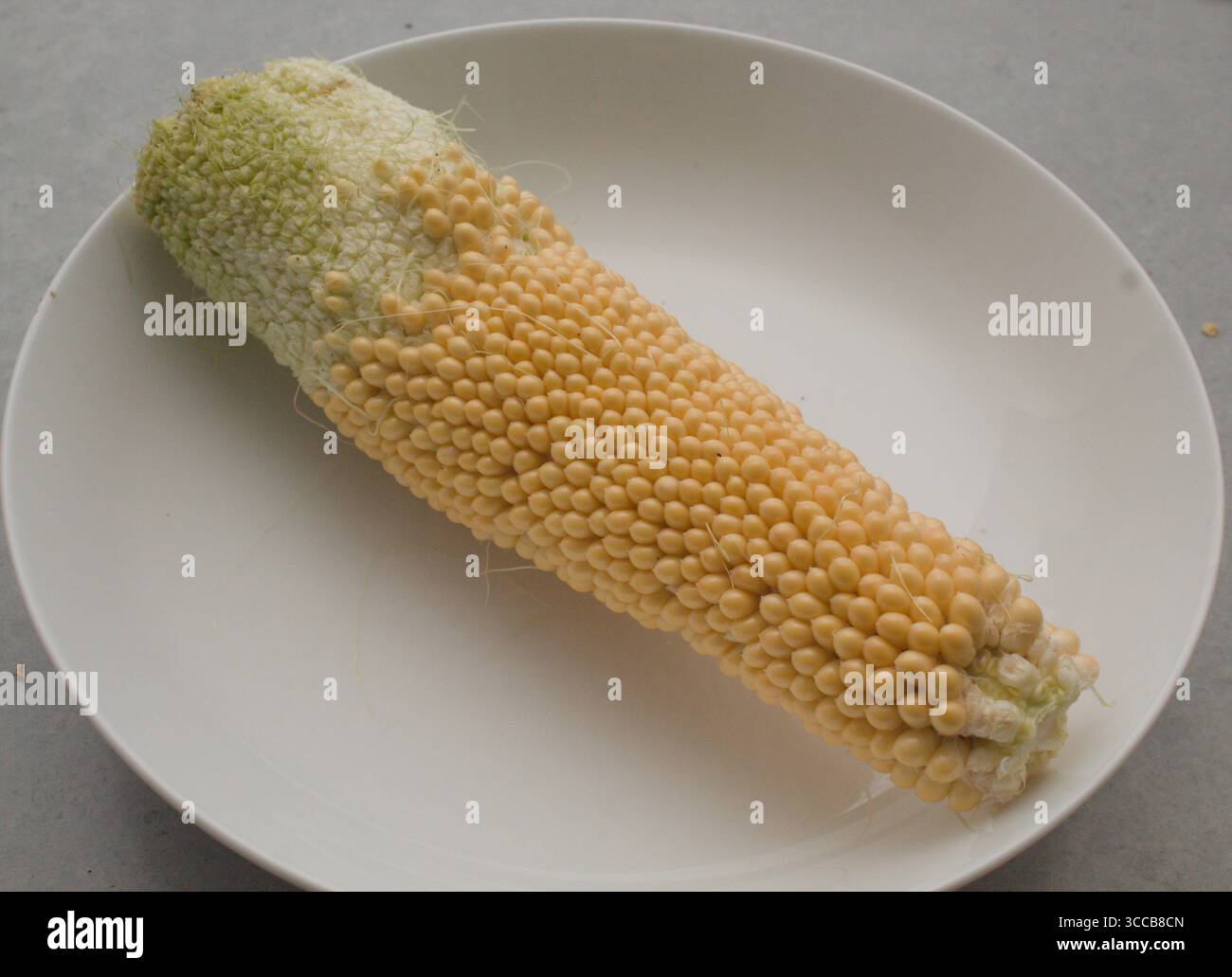 Pop corn on the cob Stock Photo