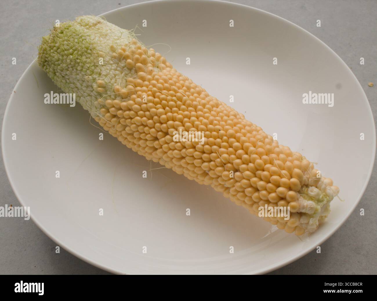 Pop corn on the cob Stock Photo