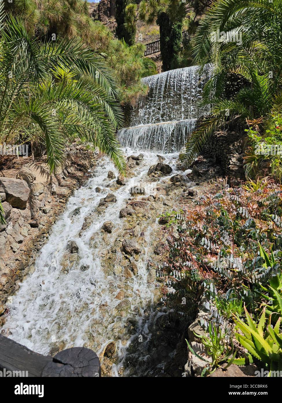 Natures masterpiece, waterfall are wonders, lost in the flow, and living for these views. - Smartphone Captured Stock Image