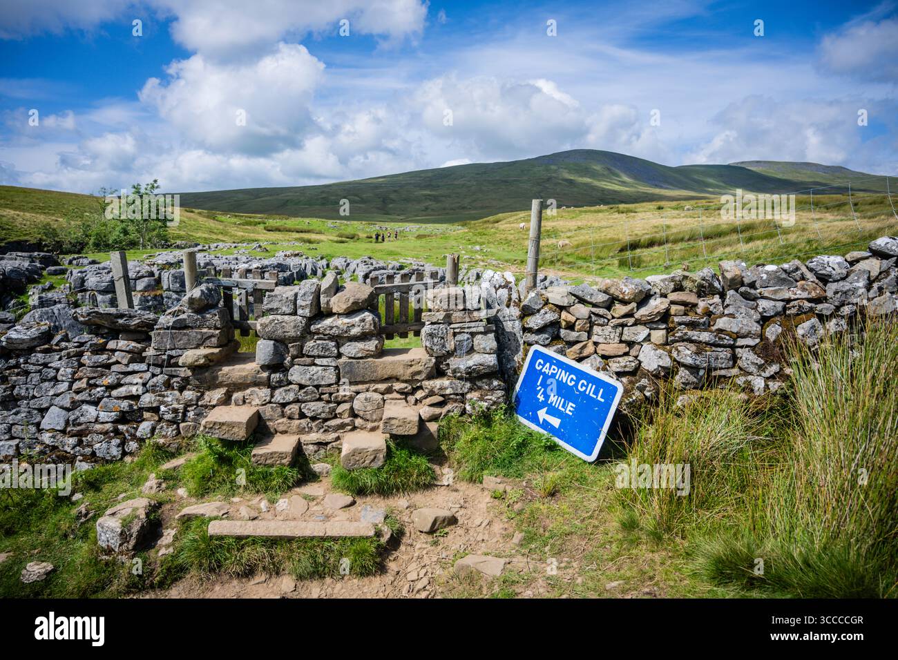 Footpath leading to Gaping Gill on the flanks of Ingleborough, Yorkshire Dales, UK. Stock Photo