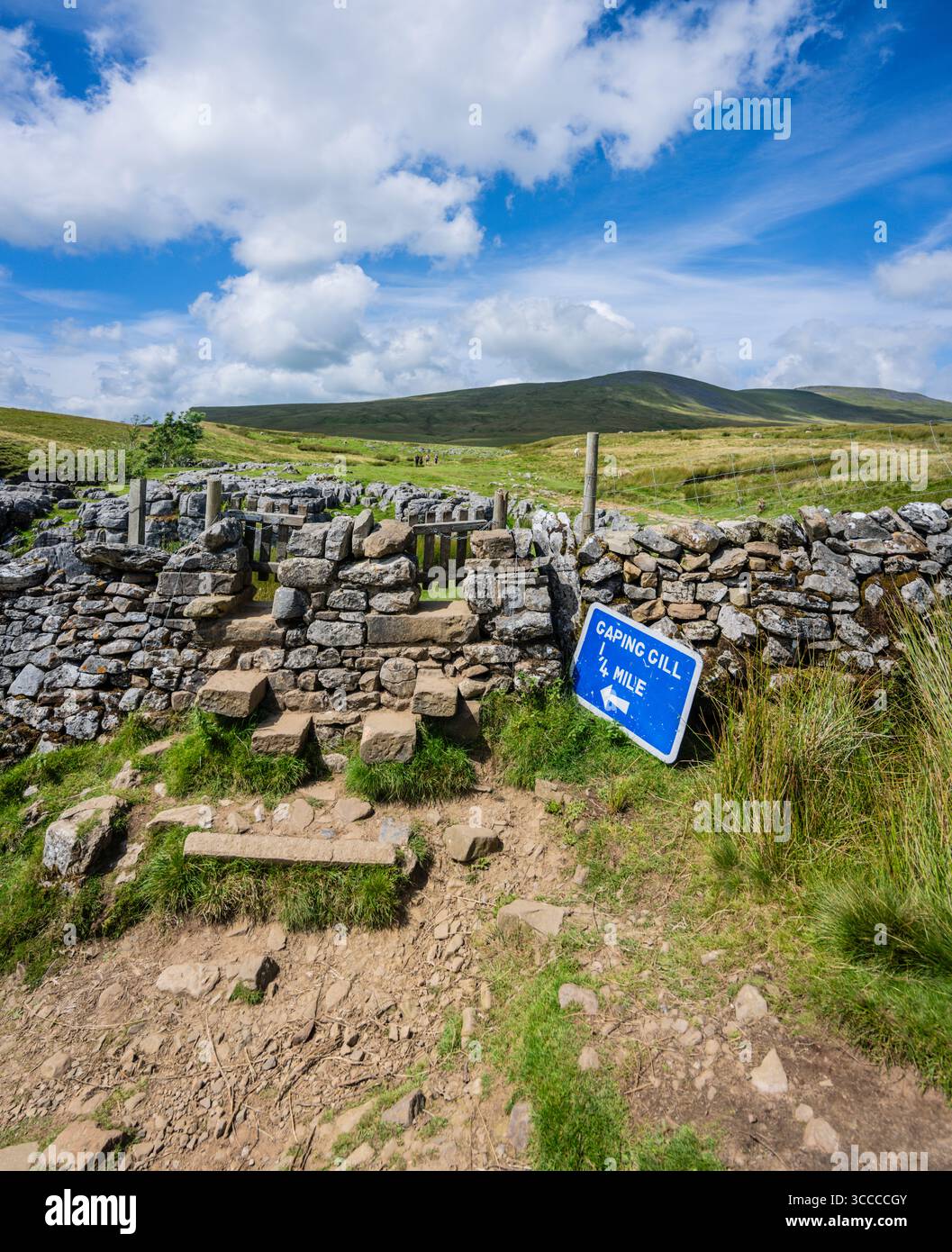 Footpath leading to Gaping Gill on the flanks of Ingleborough, Yorkshire Dales, UK. Stock Photo