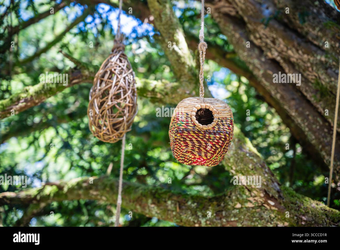 Quirky item of interest to keep children and adults amused along the Clapham nature trail, Yorkshire Dales national park. Stock Photo