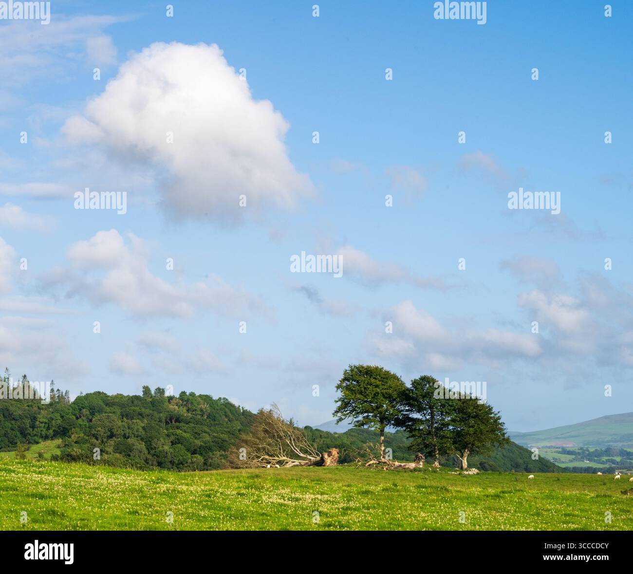 Dumfries and Galloway Countryside Landscape, Scotland. Stock Photo