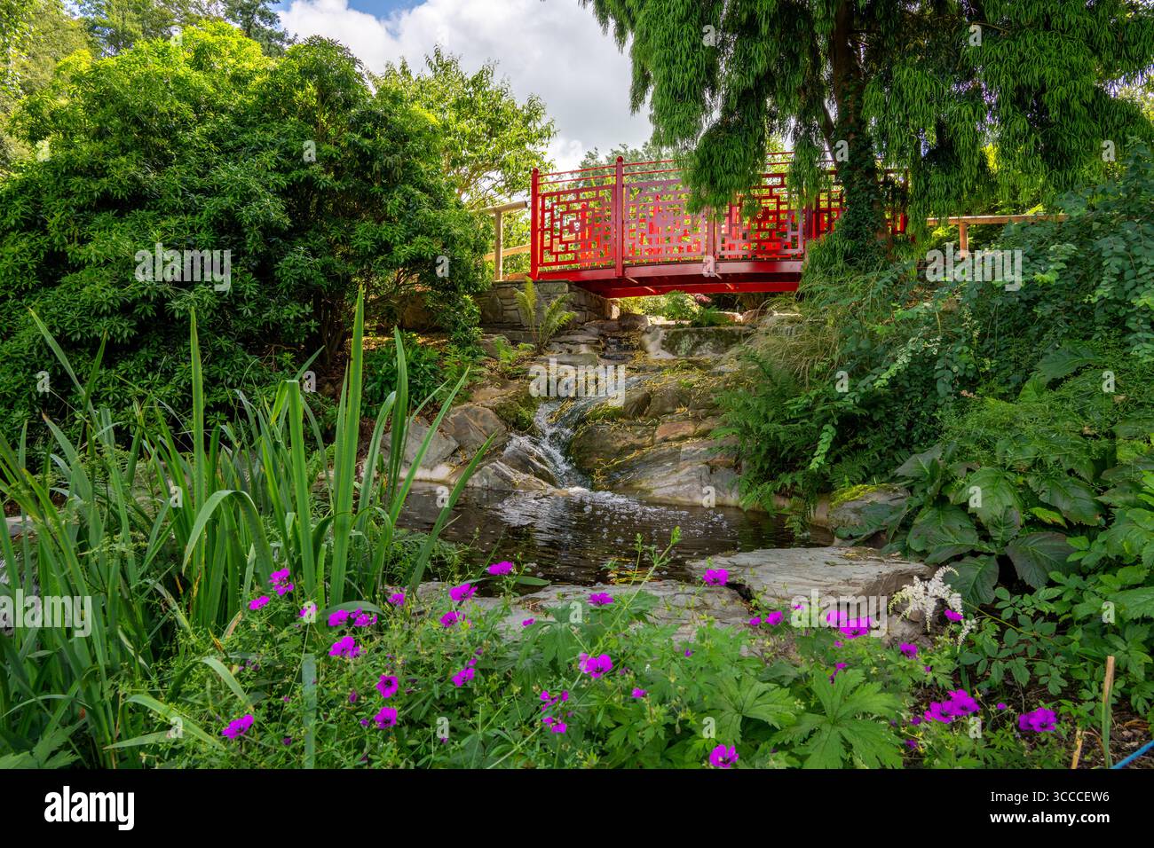 Threave Garden & Nature Reserve, Castle Douglas, Dumfries and Galloway, Scotland Stock Photo