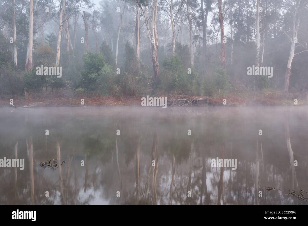 Time For Reflection Stock Photo