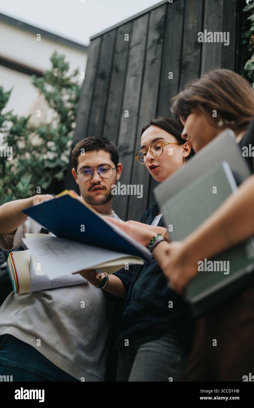 High school students collaborating on homework assignments outdoors Stock Photo