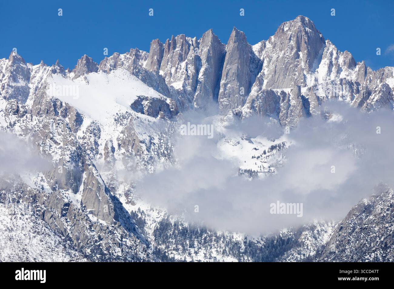 Contiguous united states hi-res stock photography and images - Alamy