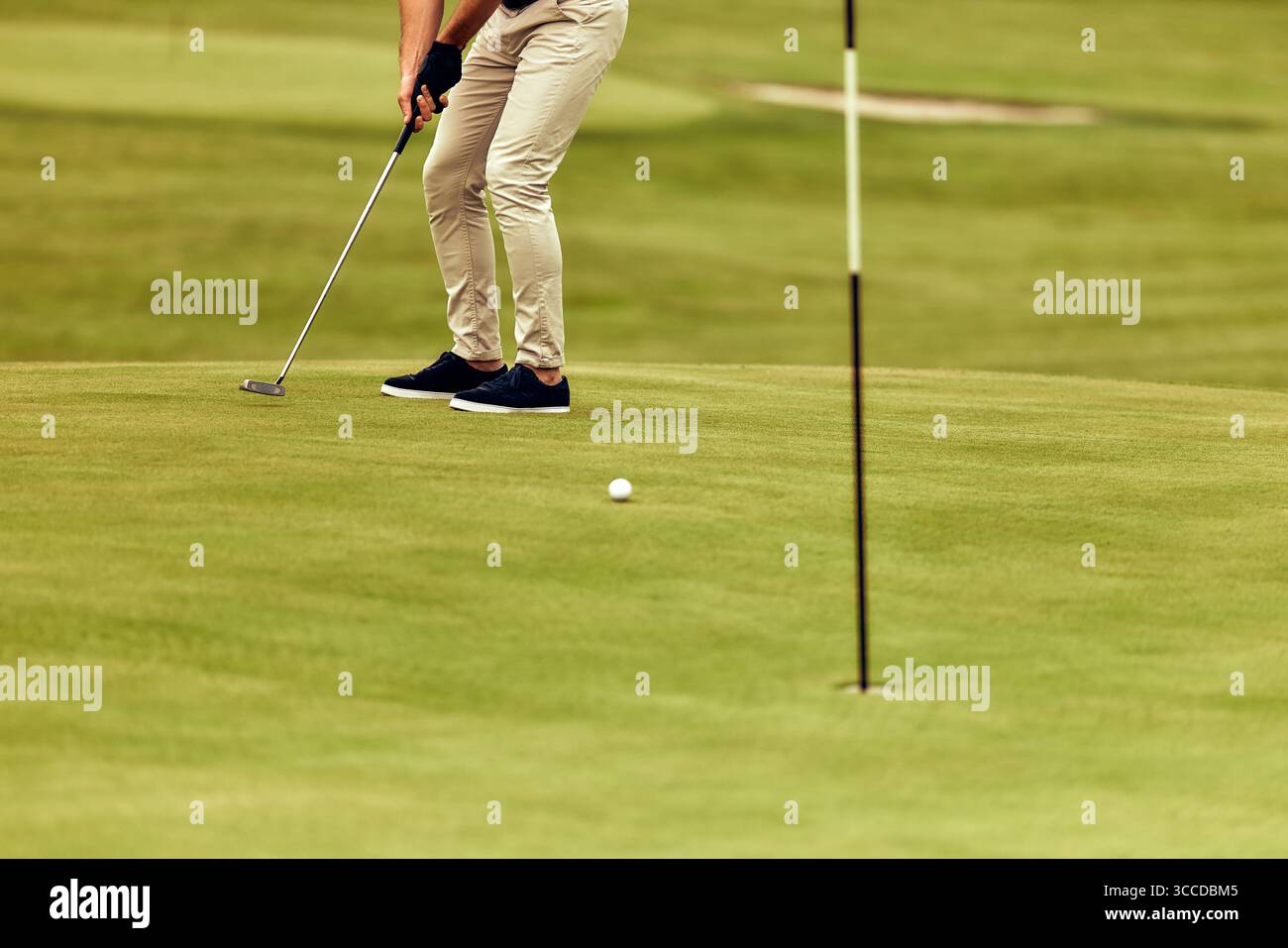 A dedicated golfer carefully poised to execute a putt on a beautifully manicured green, vividly showcasing the intense focus and remarkable precision Stock Photo