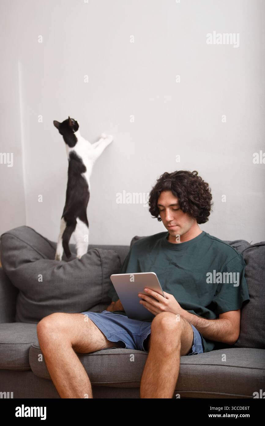 Man using tablet on sofa with playful cat scratching wall Stock Photo