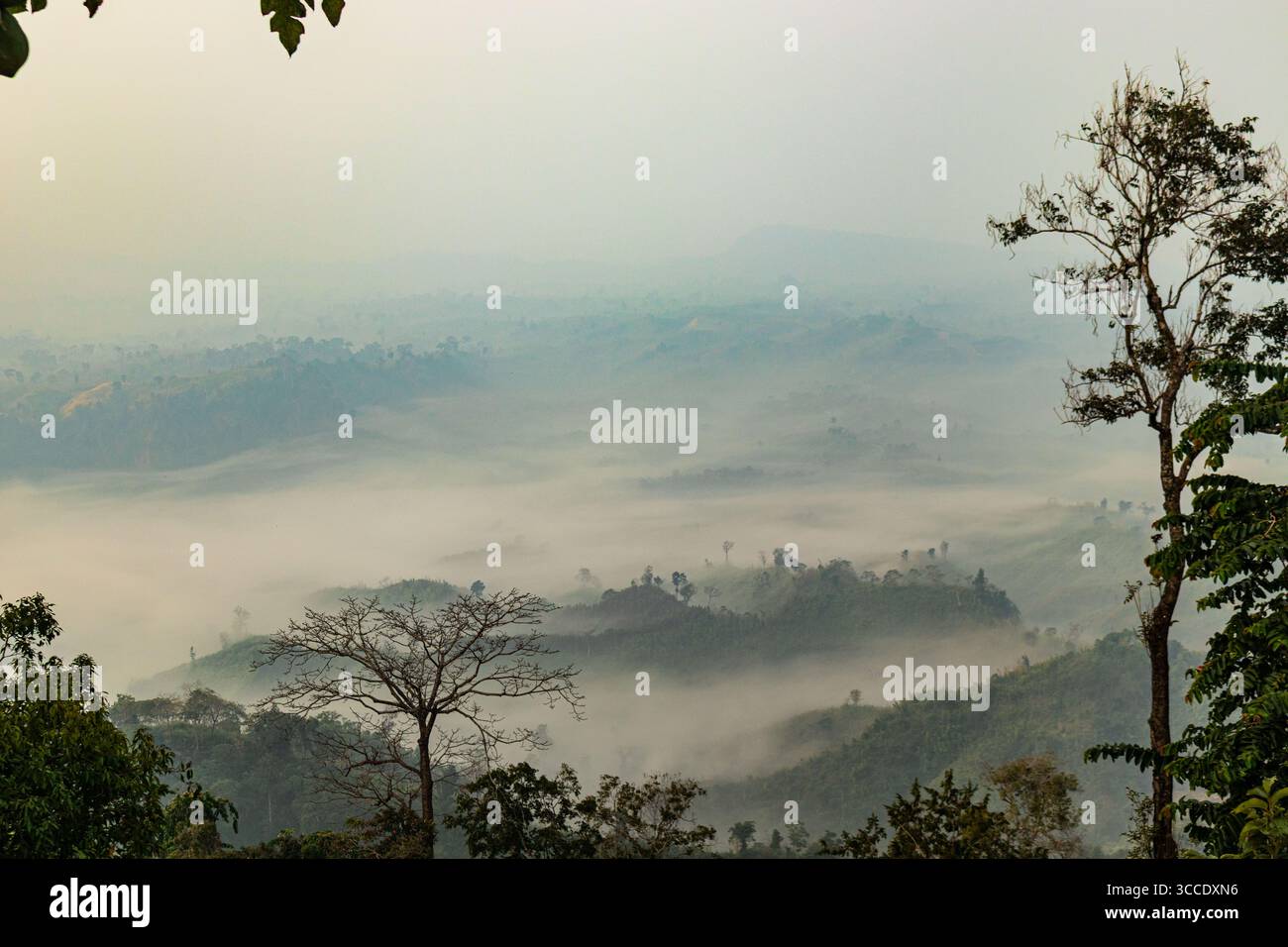 Sajek hidden nature hi-res stock photography and images - Alamy