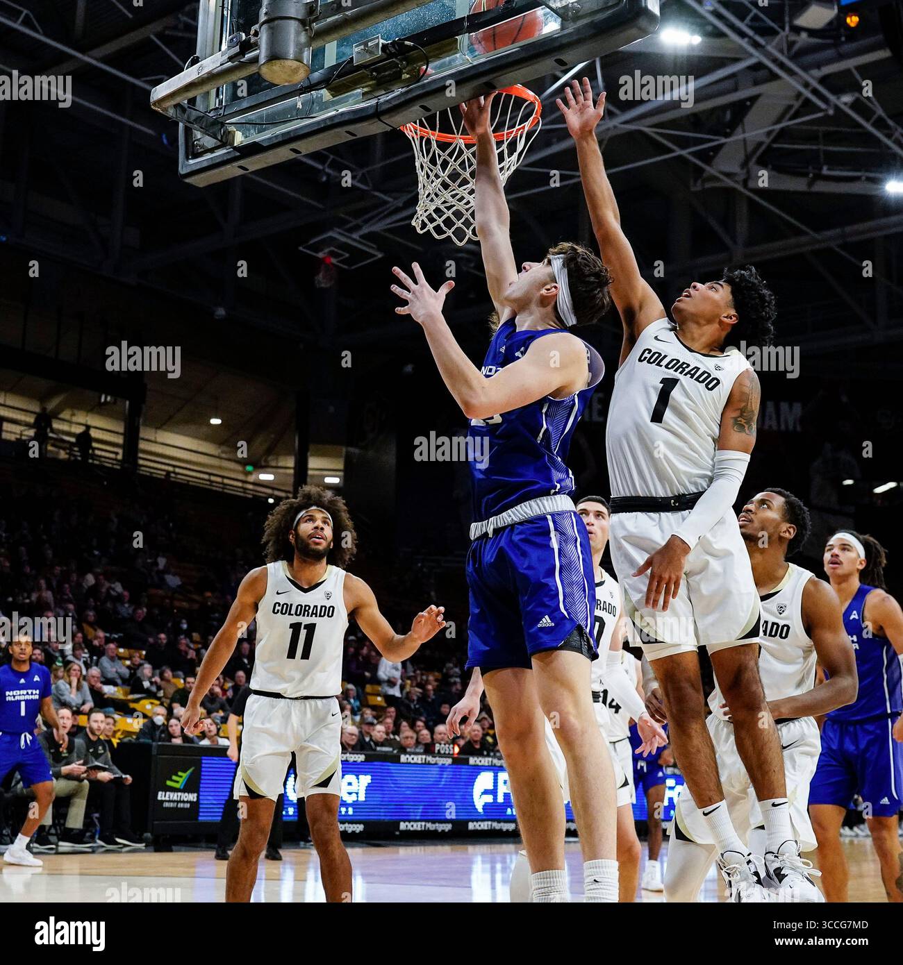 Oe cu hi-res stock photography and images - Alamy