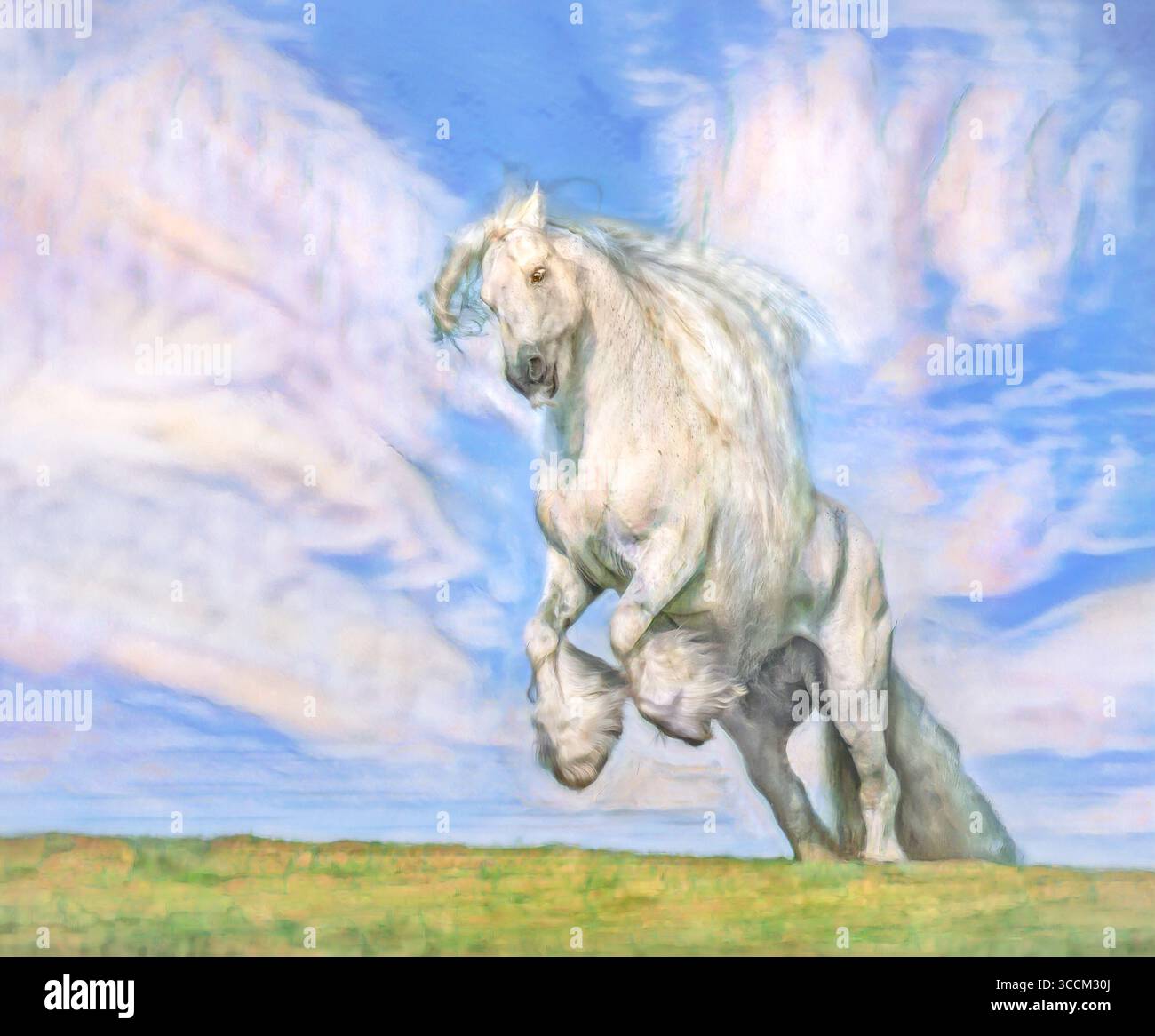 Gypsy Horse stallion rears up in rise  with angel wing clouds in blue sky. Stylized digital photo art. Stock Photo