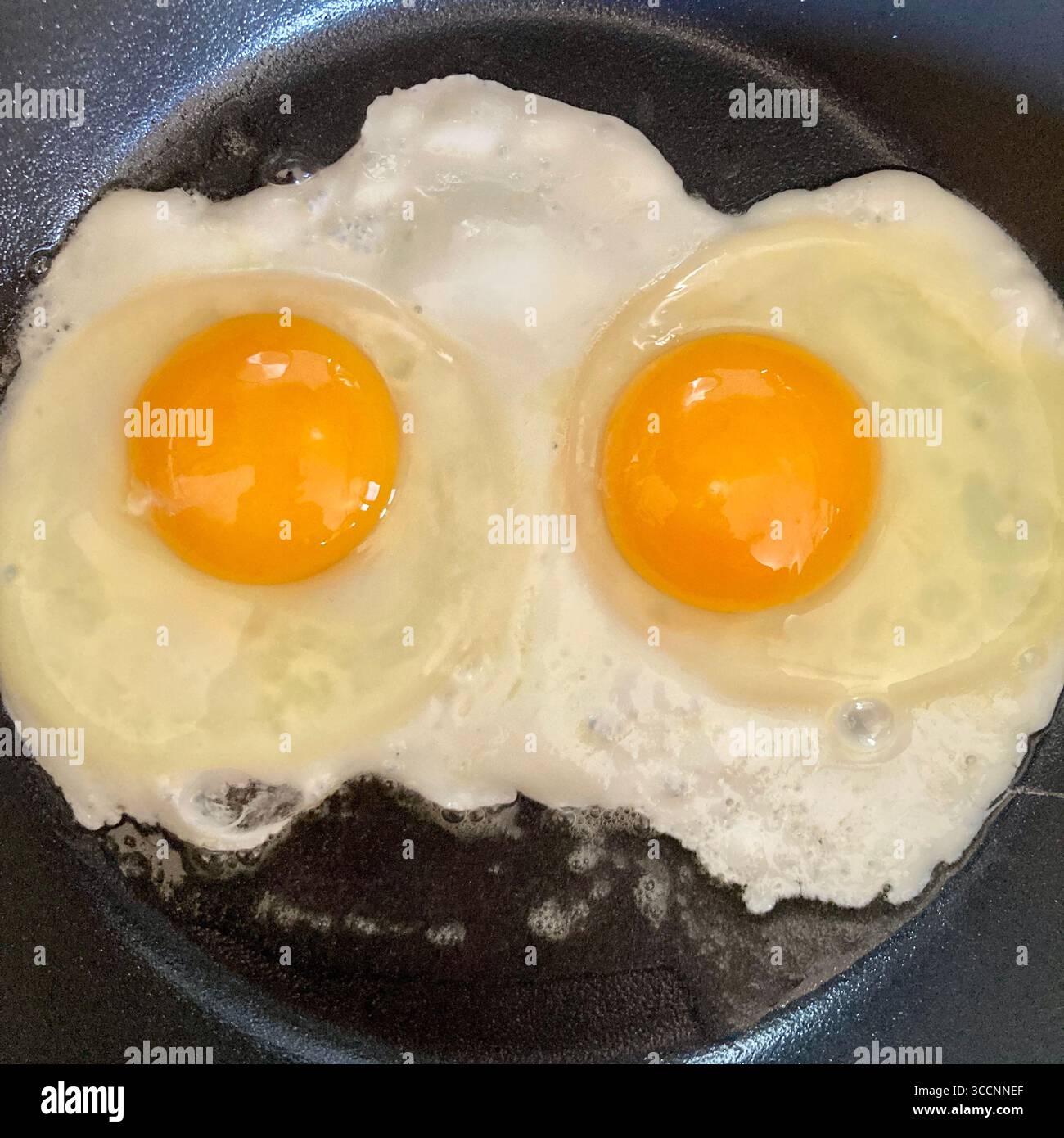 2 fried eggs stare up at the cook. - Smartphone Captured Stock Image