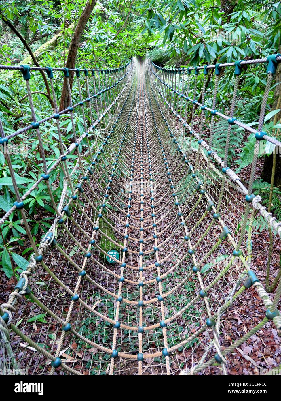 Rope Bridge at Abbotsbury Subtropical Gardens in Dorset, England ...
