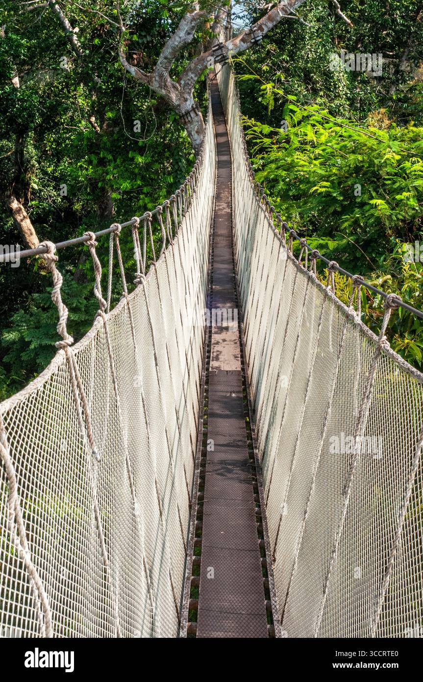 Inkaterra canopy hi-res stock photography and images - Alamy