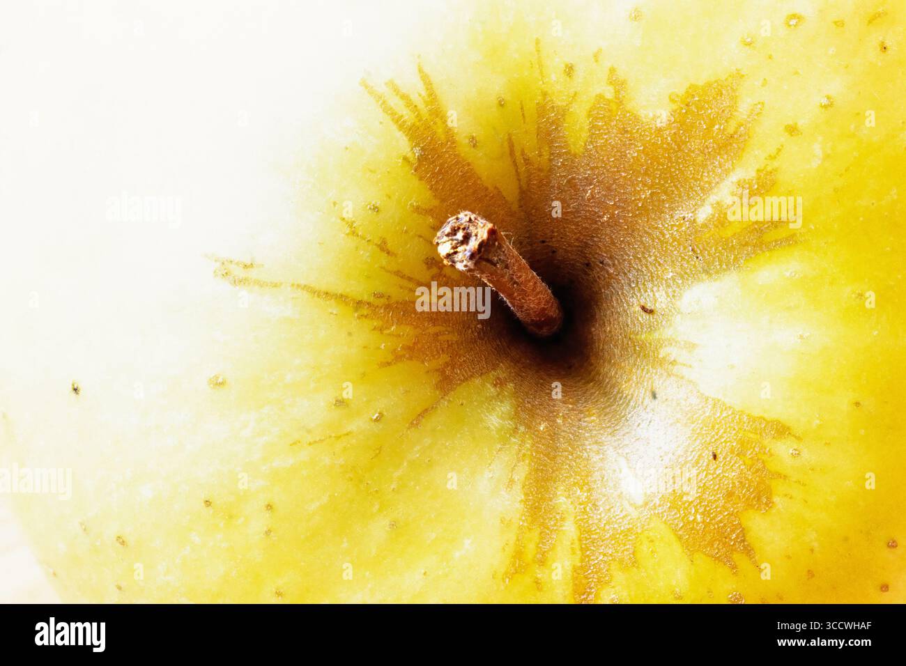 Close up at a green apple Stock Photo