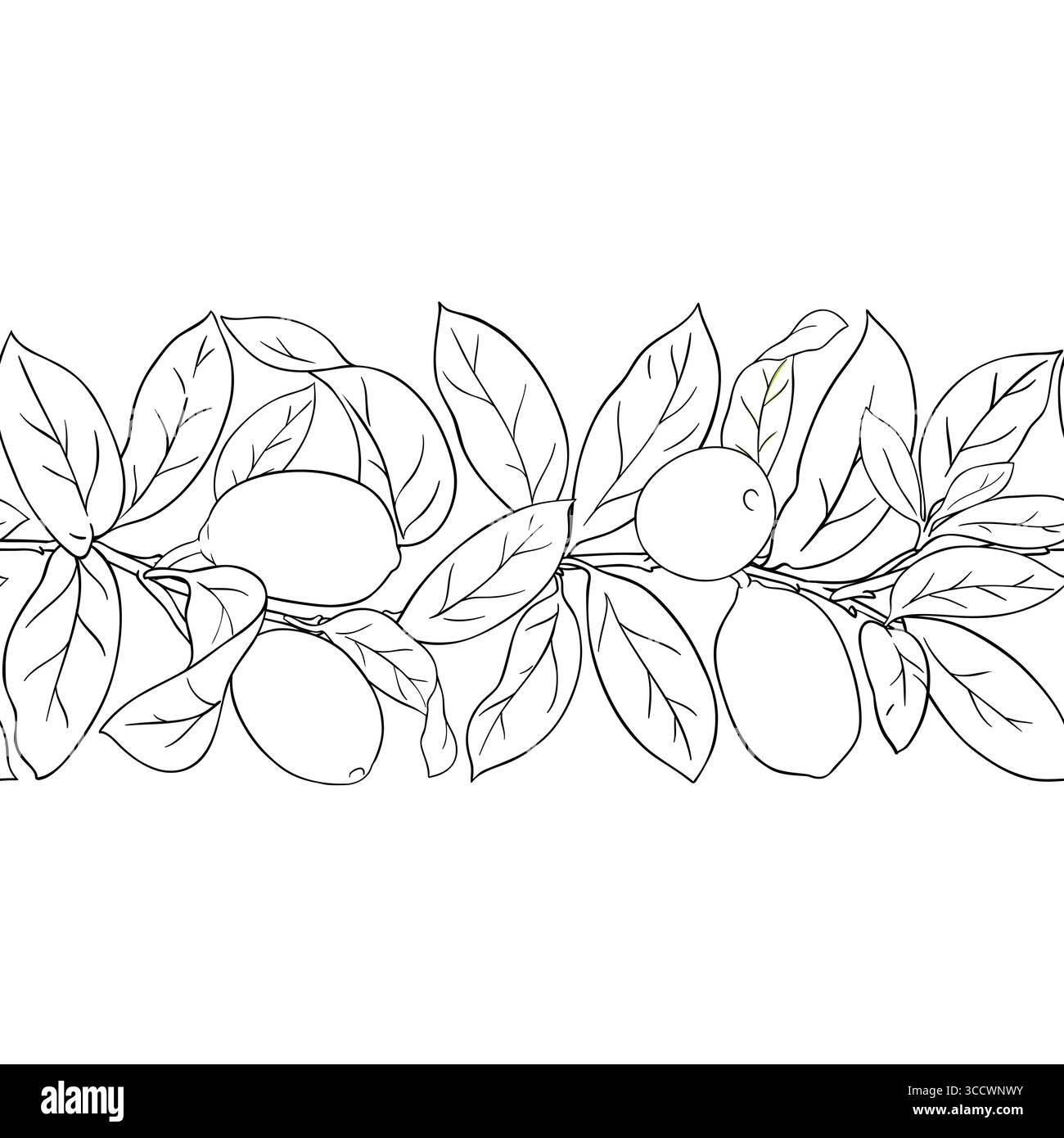 Cupuacu Outline Horizontal Seamless Pattern Stock Vector