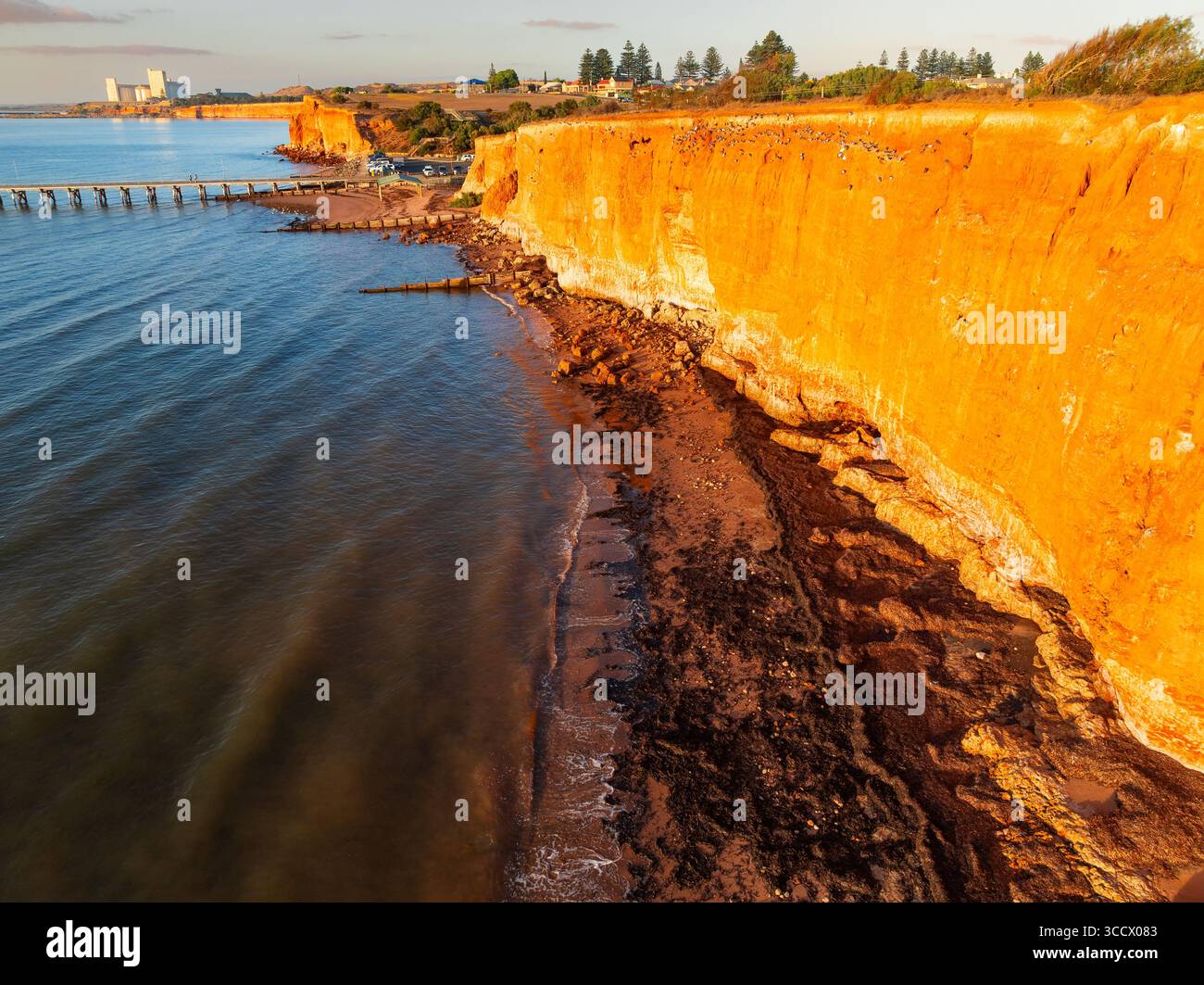 Dross Roxanne Rocks Aerial view along a sheer cliff face with rocks and seaweed on the ...