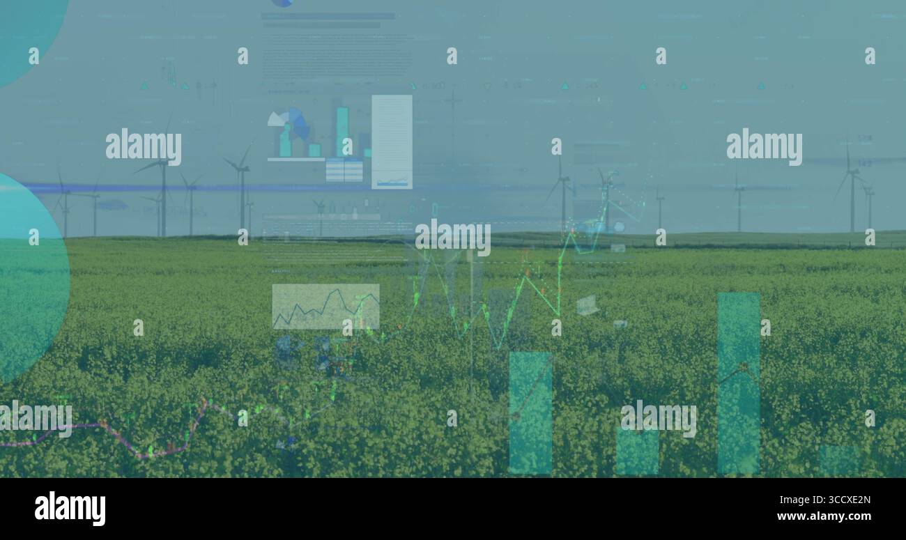 Displaying translucent data graphs over yellow crops stretching on farm horizon with wind turbines Stock Photo