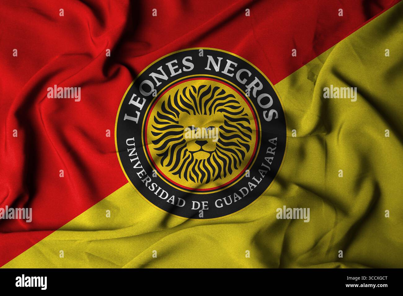Pringsewu, Lampung; August 12, 2025; A waving flag symbolizes the logo of the Leones Negros UdeG football team in the Mexican second division football Stock Photo