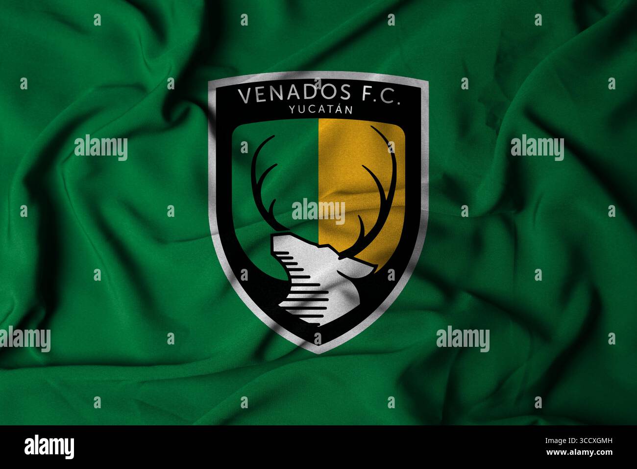 Pringsewu, Lampung; August 12, 2025; A waving flag symbolizes the logo of the Venados FC Yucatn football team in the Mexican second division football Stock Photo