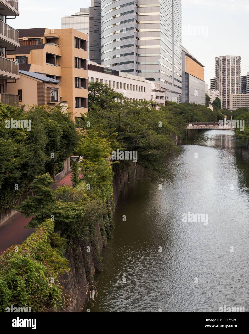 Tokyo riverside with modern buildings and greenery Stock Photo - Alamy