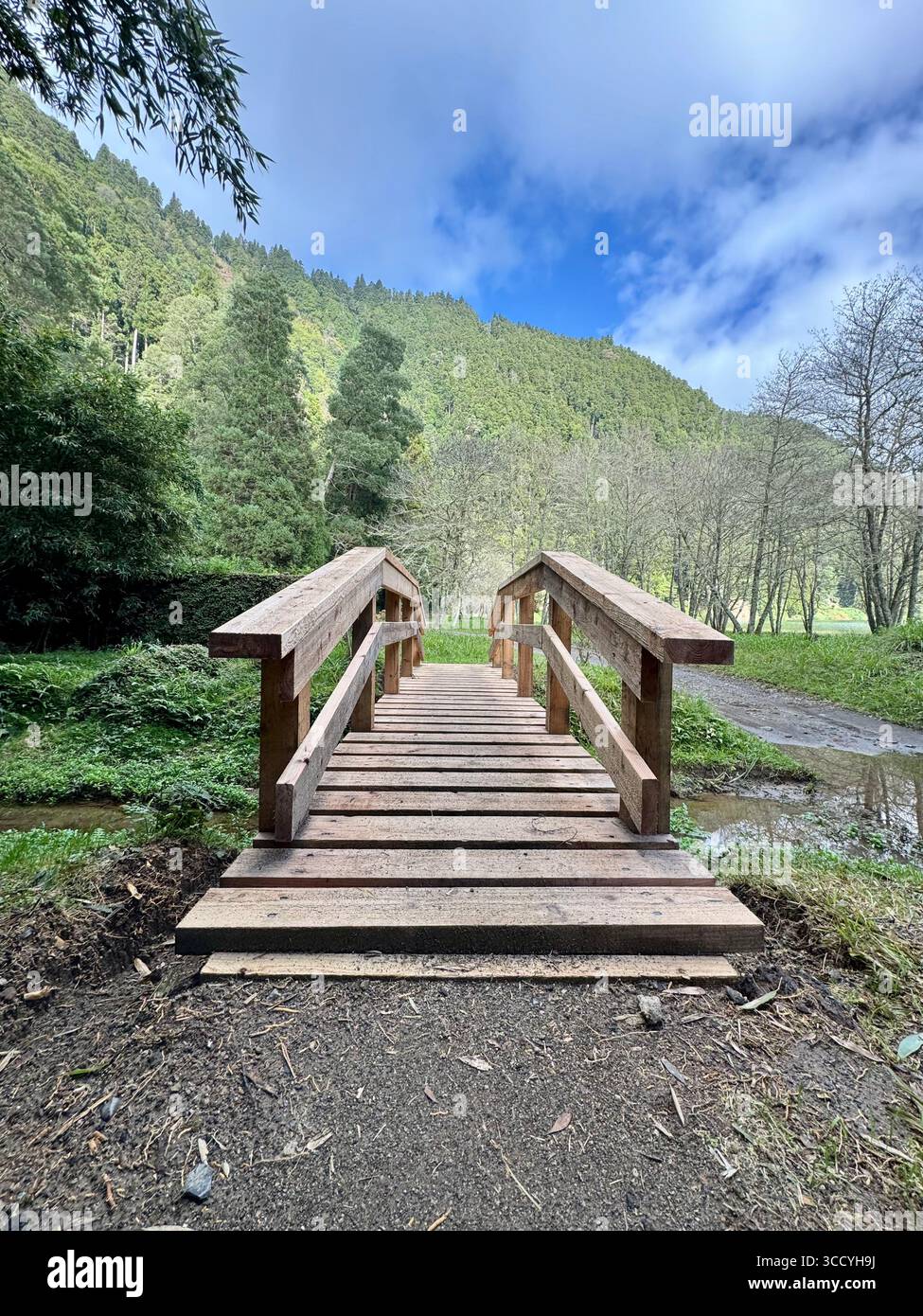 Scenic view along the circular hiking trail around Furnas Lake in the Azores - Smartphone Captured Stock Image