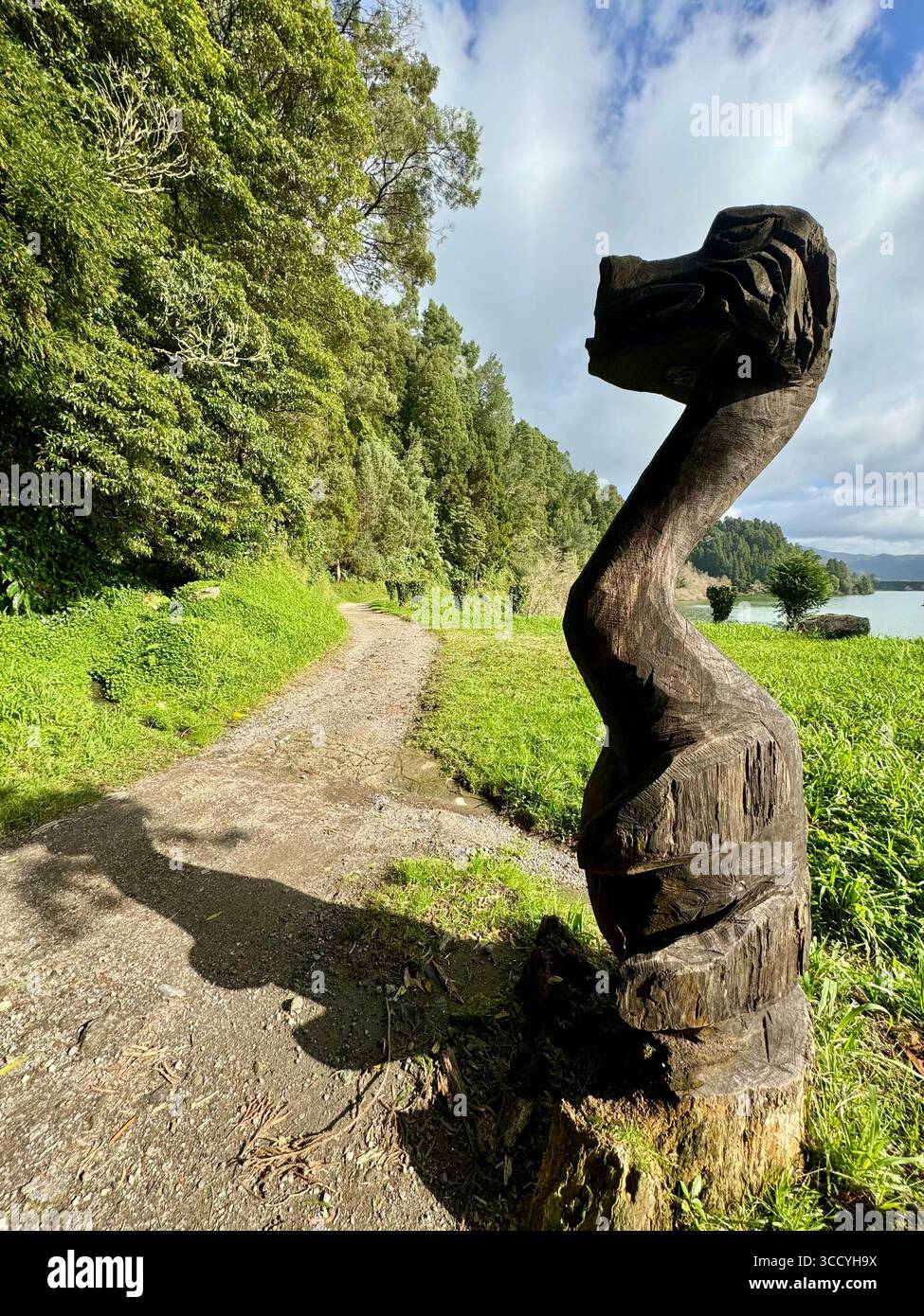 Scenic view along the circular hiking trail around Furnas Lake in the Azores - Smartphone Captured Stock Image