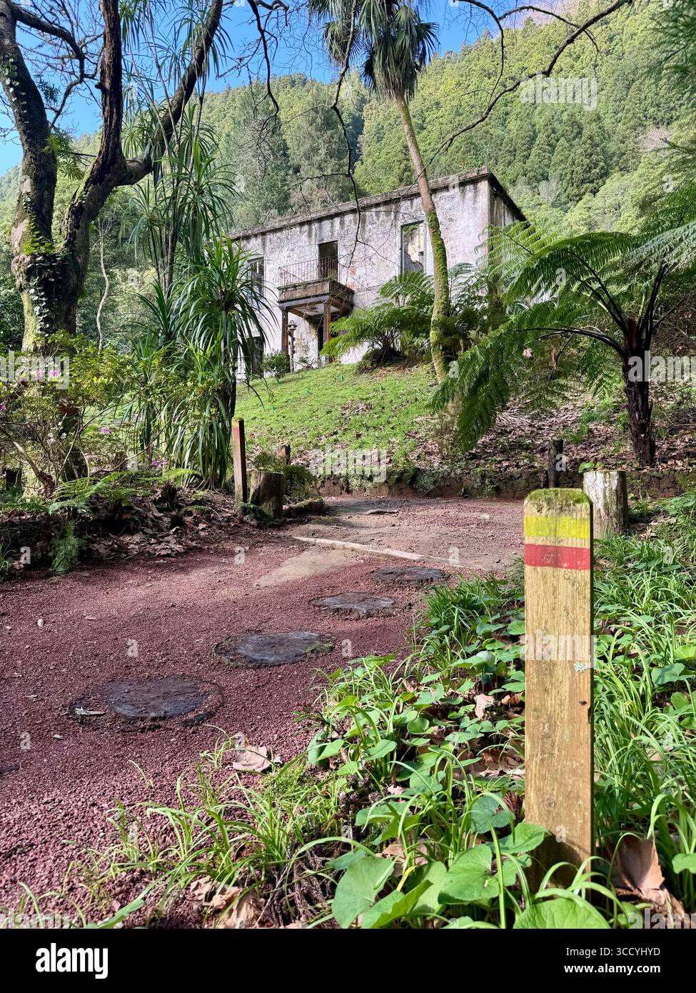 Ruins of the Grená manor house from 1858 surrounded by lush greenery at Parque da Grená, São Miguel, Azores. - Smartphone Captured Stock Image
