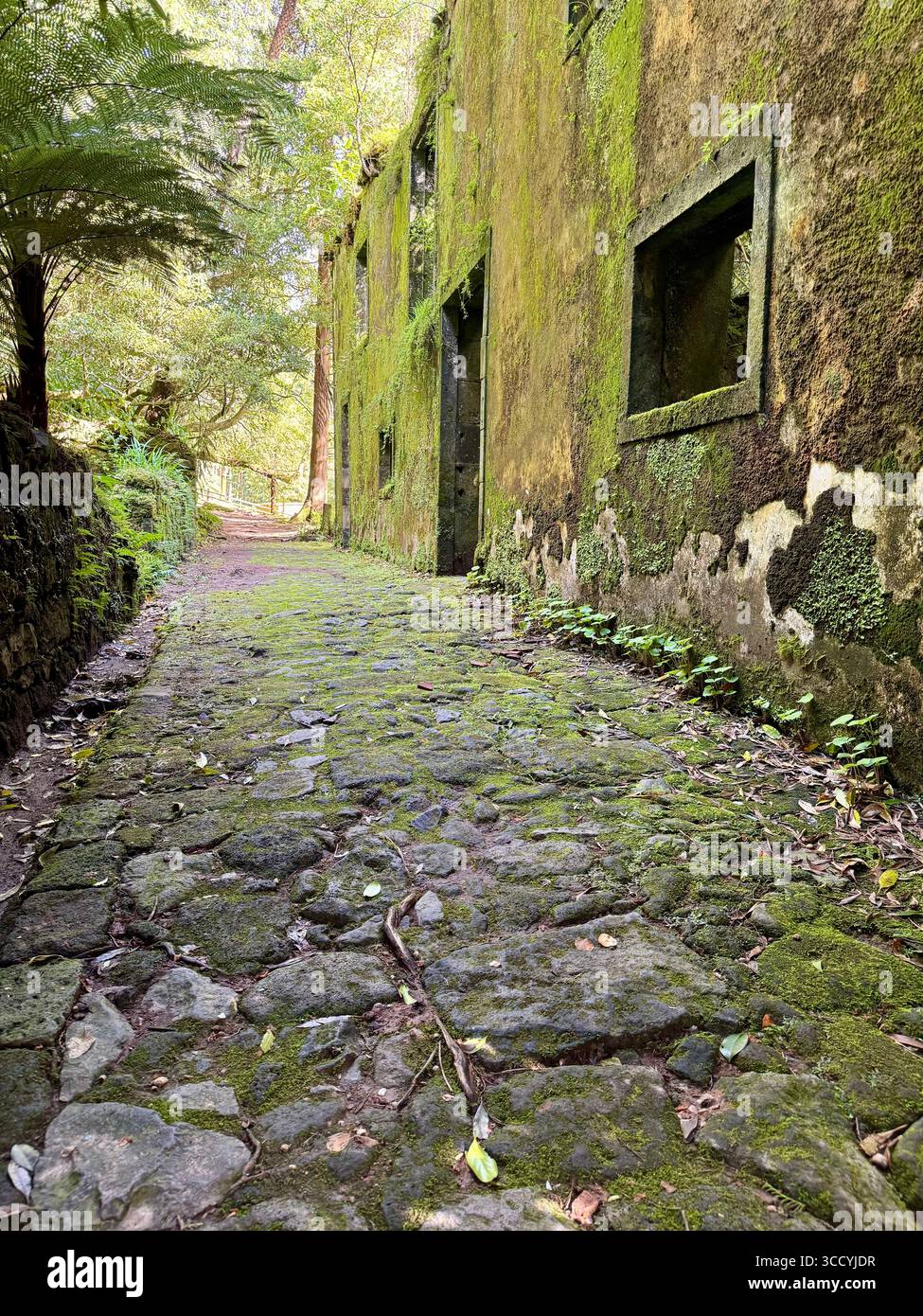 Moss-covered stone path behind the historic Grená House, now part of hiking trails in Grená Park, São Miguel Island, Azores, Portugal. - Smartphone Captured Stock Image