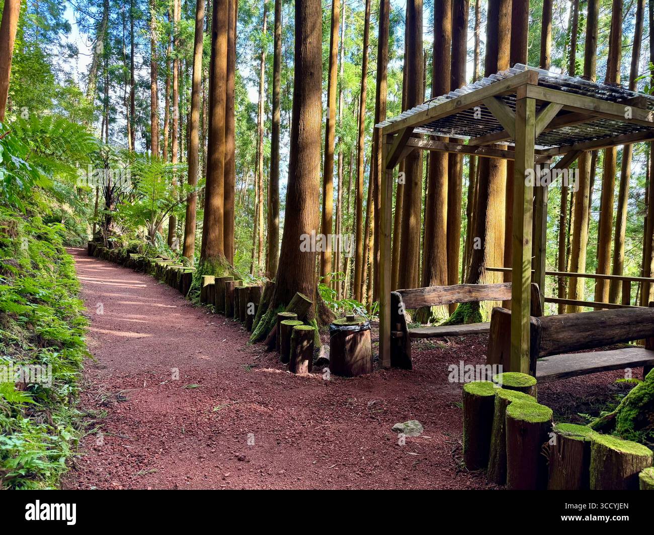 Informative signs, maps, and forest rest areas along the Grená Park hiking trail in São Miguel Island, Azores, Portugal. - Smartphone Captured Stock Image
