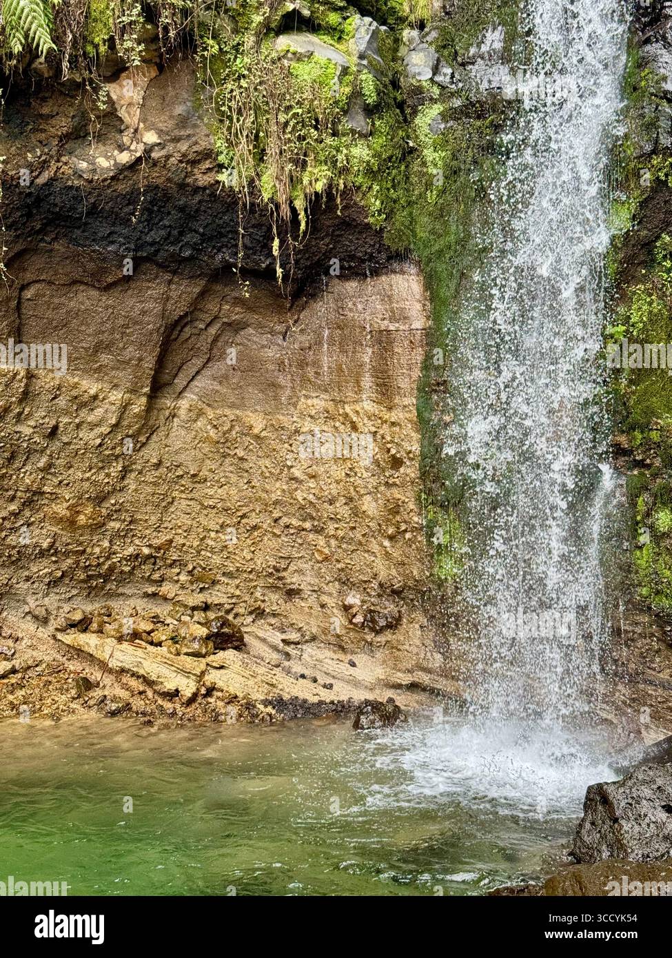 Scenic waterfall cascading into a clear natural pool along a hiking trail at Grená Park, in the lush landscape of the Azores, Portugal. - Smartphone Captured Stock Image