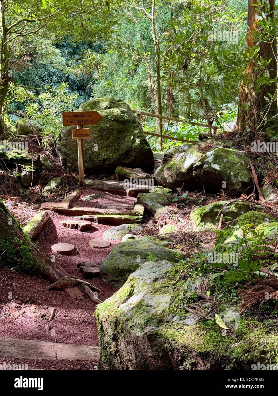 Informative signs, maps, and forest rest areas along the Grená Park hiking trail in São Miguel Island, Azores, Portugal. - Smartphone Captured Stock Image