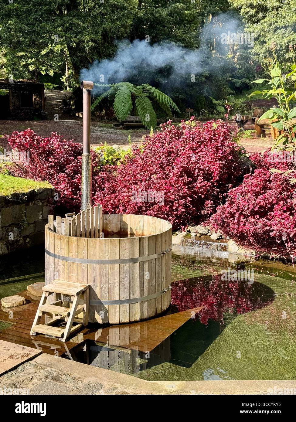 Wood-fired hot tubs steaming in a forest garden setting at Grená Park, São Miguel Island, Azores, Portugal. - Smartphone Captured Stock Image