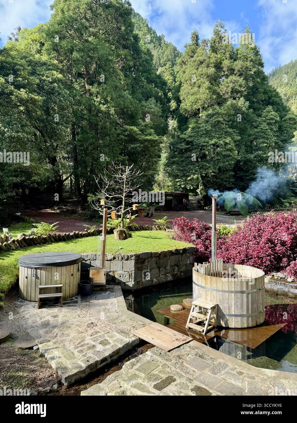 Wood-fired hot tubs steaming in a forest garden setting at Grená Park, São Miguel Island, Azores, Portugal. - Smartphone Captured Stock Image