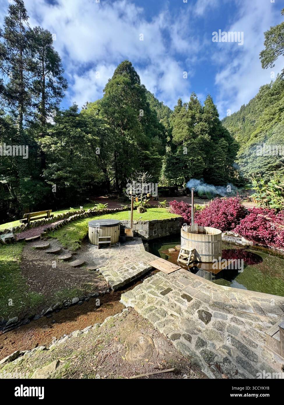 Wood-fired hot tubs steaming in a forest garden setting at Grená Park, São Miguel Island, Azores, Portugal. - Smartphone Captured Stock Image