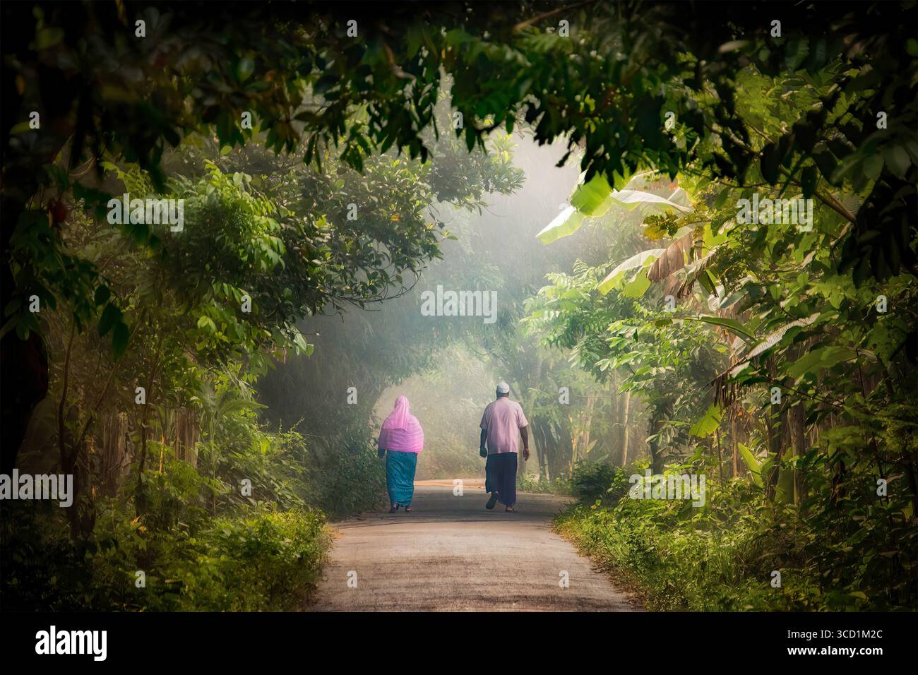 Bogura, Bangladesh - 11 November 2016: View of two figures walking along a misty, verdant path, framed by lush foliage, in a scene of serene and quiet beauty. Stock Photo